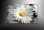 art print floral, abstract art flower, digital art floral