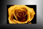 art flower work, flower art photos, flower canvas, floral art work
