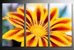 floral Art on canvas, flower art, original floral art