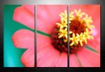 floral art pictures, art print floral, floral on canvas, modern art flower