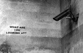banksy what camera canvas art, banksy canvas uk, banksy what camera, banksy what camera wall art, banksy canvas uk
