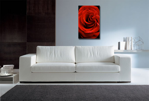 flower wall art, flower abstract art, floral on canvas, flower canvas, art print floral