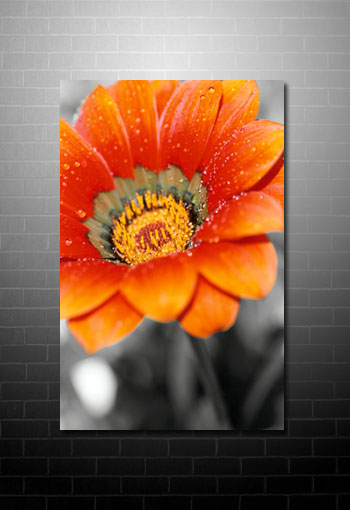 floral fine art prints, flower canvas art, canvas floral print