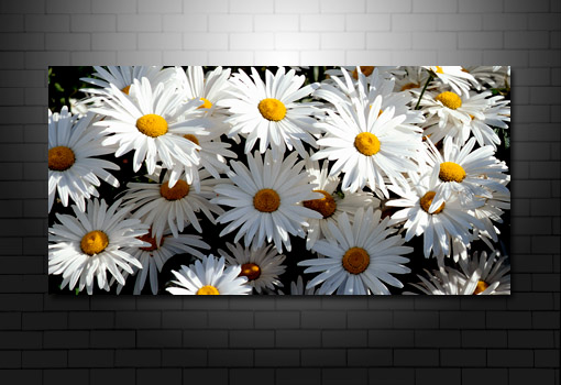 flower wall art, flower abstract art, floral on canvas, flower canvas