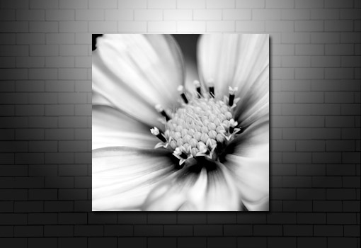 floral art print, digital floral art, floral canvas