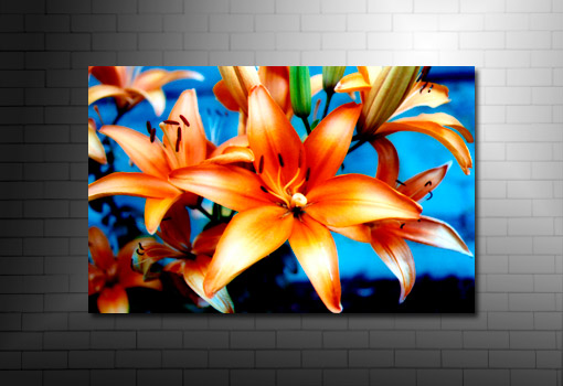 art print floral, abstract art flower, digital art floral