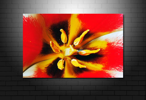 floral art pictures, art print floral, floral on canvas, modern art flower