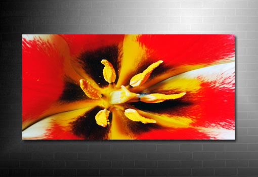 canvas floral print, flower wall art, art nouveau flower, art flower abstract