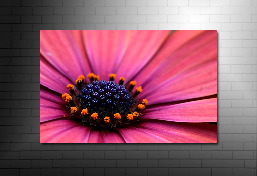 art flower work, flower art photos, flower canvas, floral art work