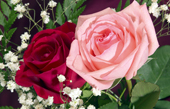 roses canvas art, art print floral, original floral art, flower canvas art, digital art floral