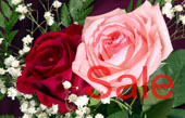 roses canvas art, art print floral, original floral art, flower canvas art, digital art floral
