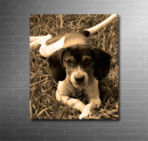 photo on canvas sepia finish, my photo to canvas art