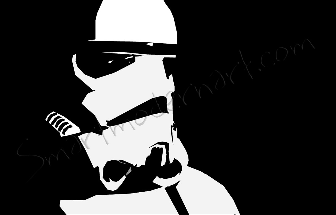 stormtrooper canvas art