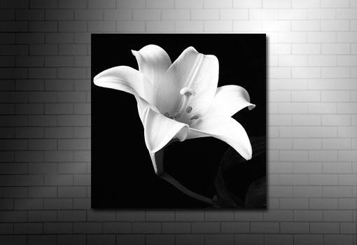 floral art print, digital floral art, floral canvas