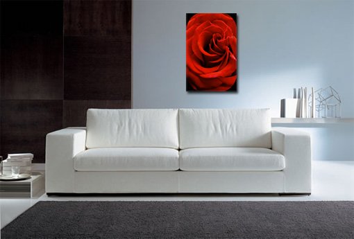 flower wall art, flower abstract art, floral on canvas, flower canvas, art print floral