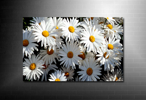 flower wall art, flower abstract art, floral on canvas, flower canvas