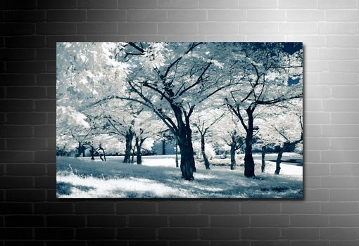 landscape canvas print, landscape art prints