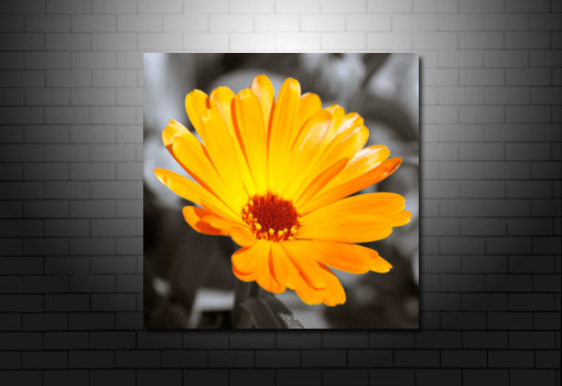 art flower work, flower art photos, flower canvas, floral art work