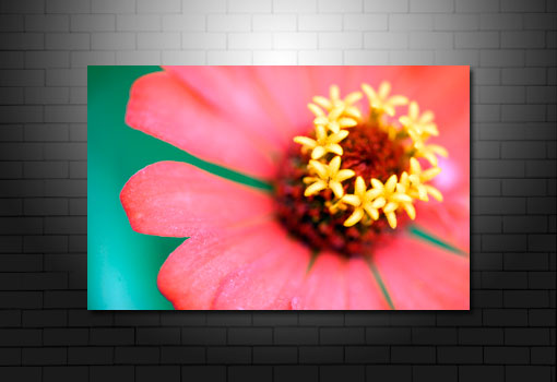 floral art pictures, art print floral, floral on canvas, modern art flower