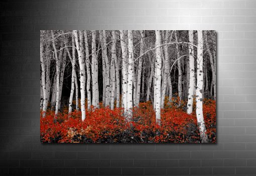 forest canvas art, red forest canvas, landscape canvas, forest wall art
