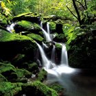 waterfall canvas, green canvas, landscape canvas, landscape wall art